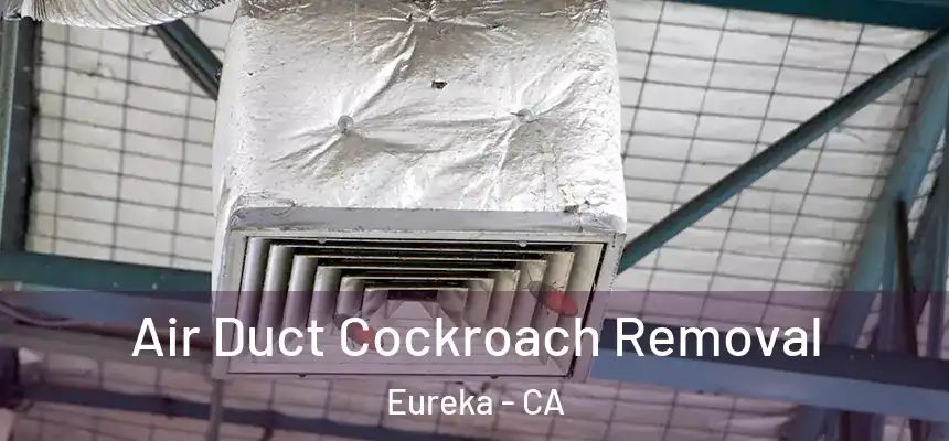 Air Duct Cockroach Removal Eureka - CA