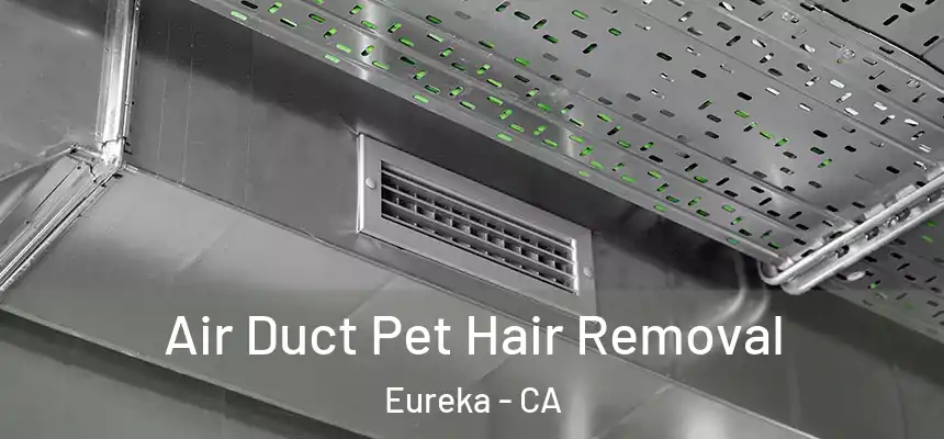 Air Duct Pet Hair Removal Eureka - CA