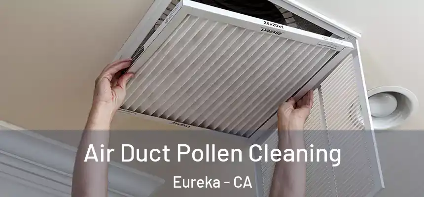 Air Duct Pollen Cleaning Eureka - CA