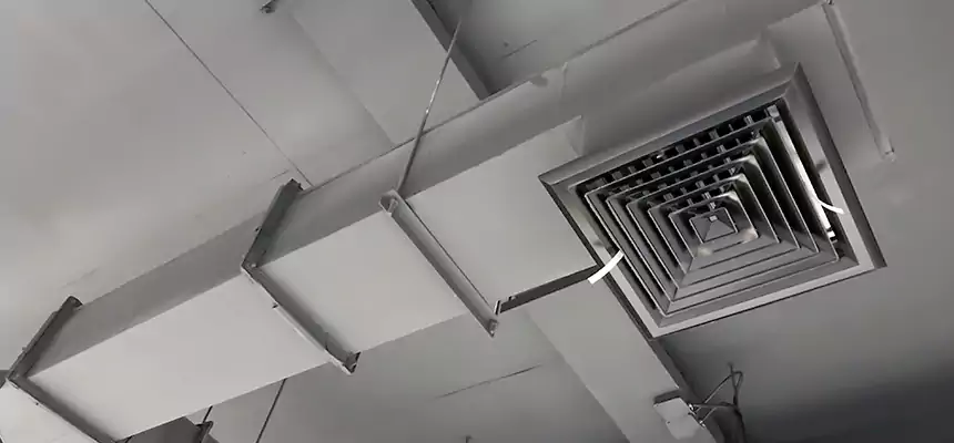 Our Rodent Droppings In Vents Services in Eureka, CA