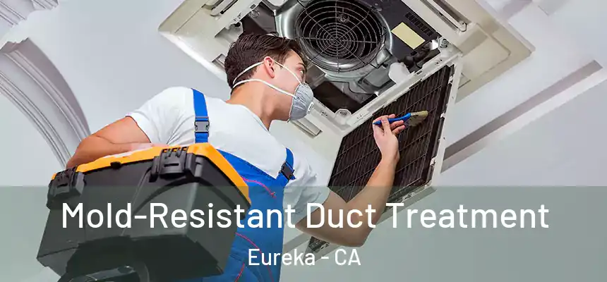  Mold-Resistant Duct Treatment Eureka - CA