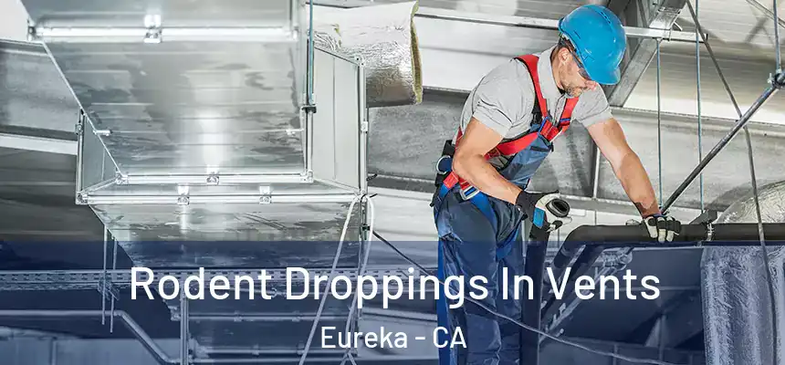  Rodent Droppings In Vents Eureka - CA
