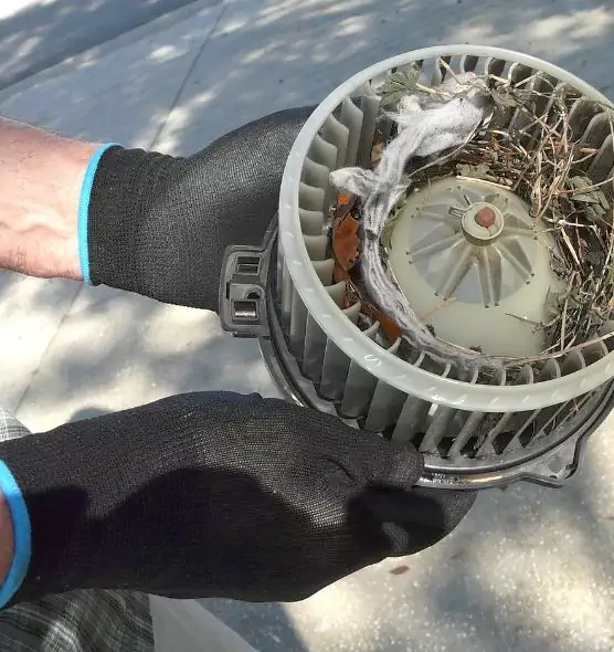 About Air Duct Rat Removal in Eureka, CA