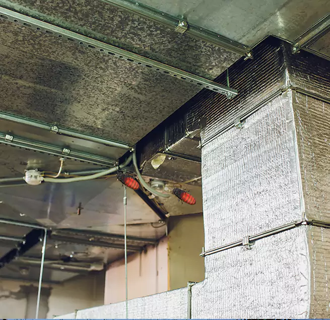 Why Homeowners & Businesses Trust Us in Eureka, CA?