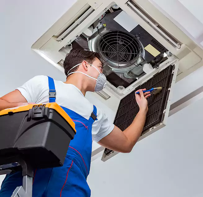 Why Homeowners & Businesses Trust Us in Eureka, CA?