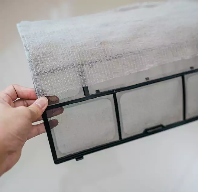 Why Homeowners & Businesses Trust Us in Eureka, CA?